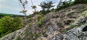 pohľad na lokalitu - detail skorý jarný aspekt