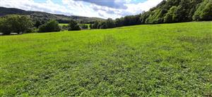 pohľad na lokalitu, letný aspekt