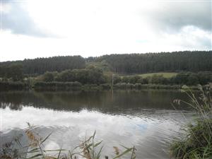 TML_CastFibe_060 Levočské Lúky_rybníky