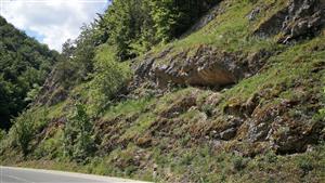 Skalný svah nad cestou - pohľad do zákruty, smerom dole kopcom.