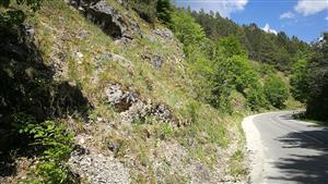 Skalný svah nad cestou - pohľad smerom hore k obci Mojtín.