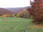 Bukové a jedľové kvetnaté lesy (16.10.2013)
