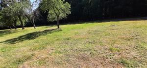 intenzívne pasená časť lokality (SZ časť)