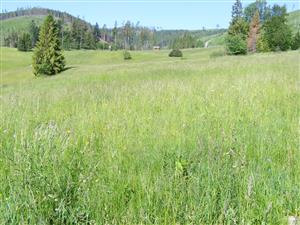 celkový pohľad na lokalitu