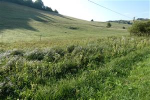 centrálna časť lokality