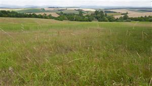 Pohľad na TML z južného okraja