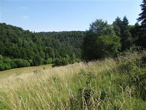 Pohľad na TML_6510_165 z jej južného okraja