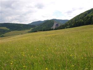 Lúky nad Záskalím, pohľad na lokalitu smerom ku Kostoleckej tiesňave