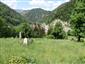 jašterica bystrá (7.6.2022)
