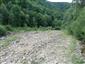 jašterica bystrá (30.6.2022)