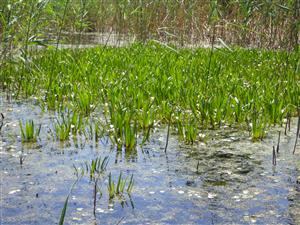 TML, interiér kanála