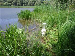 Litorál v časti Starý les (UV pasca)