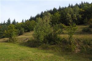 celkový pohľad na TML