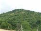 TML_ParaCalo_005_TMP1