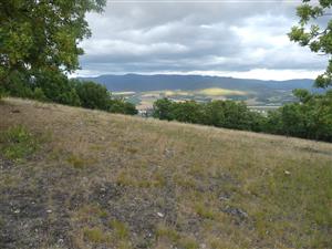 TML_StenEura_003_TMP1