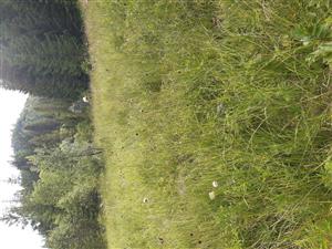 Pohľad 2 na TML_7230_109