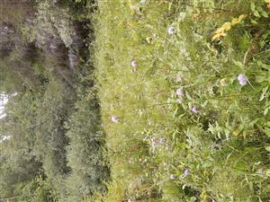 Pohľad 1  na TML_7230_106