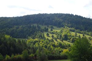Pohľad na TML z protiľahlej, severne ležiacej lúky