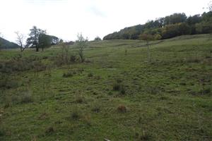 pohľad na TML zo spodnej časti