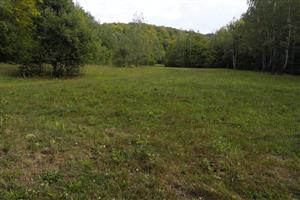 pohľad na TML, stredná lúčka