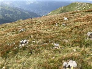 Kresanica, pohľad na biotop pod vrcholom.
