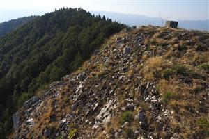 Pohľad na plôšku s výskytom biotopu na vrchole Kozej skaly.