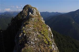 Pohľad z diaľky, biotop sa vyskytuje na vrchole skaly.