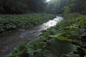 Celkový pohľad na TML, rovnaký pohľad ako foto z mapovania v roku 2015.