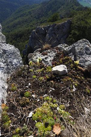 Lokalita, pohľad totožný s fotkou z roku 2015. 