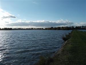 Pohľad na časť centrálnej časti TML Veľkoblahovské rybníky, Foto: 3.10.2022, J.Lengyel.
