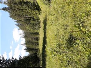 Pohľad 2  na TML_7230_108