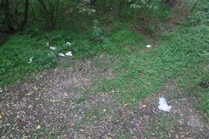 TML - Sútok Blatiny a Malého Dunaja - Zálesie - odpadky 1