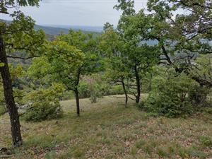 TML - Rovence - biotop 1