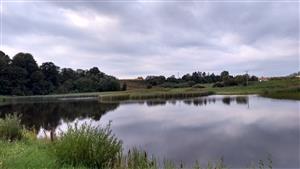 Celkový pohľad na monitorovaciu lokalitu.