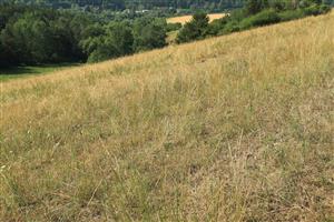 pasená V časť lokality