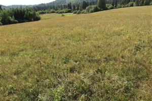 pohľad na J časť lokality