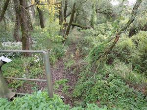 TML, vodný stav pri stavidle