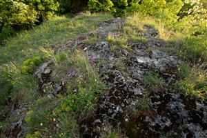 Mozaika obsahující cílový biotop