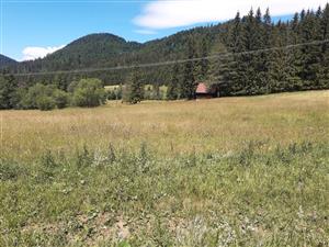 Pohľad 2 na TML_6510_857