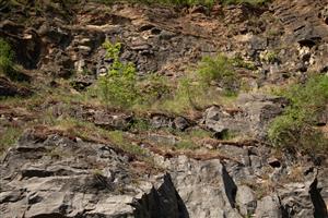 Stanoviště cílového biotopu