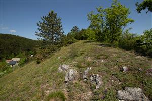 Vrchní část lokality s více zapojenými trávníky