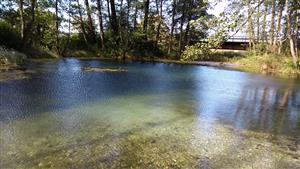 Pohľad na železničný most v okrajovej časti monitorovanej lokality.