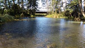 Celkový pohľad na monitorovaciu lokalitu.