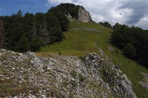 celkový pohľad na biotop