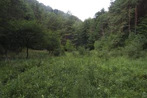 Stredná časť lokality.