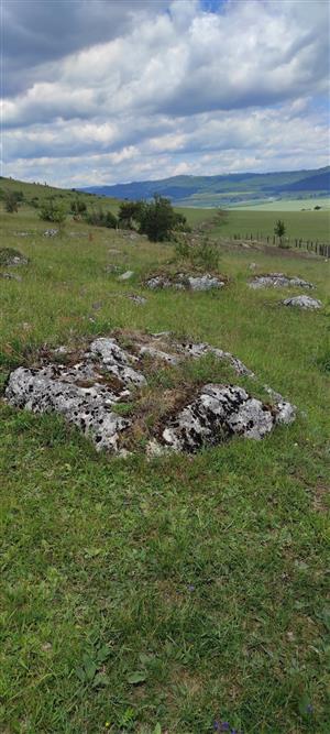 Celkový pohľad na TML_6110_107 s vystupujúcimi skalkami