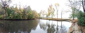 Pohľad na TML Veľký les, JV jazierko, pohľad v smere od juhu na SV smer, 21.10.2022, foto: J.Lengyel.
