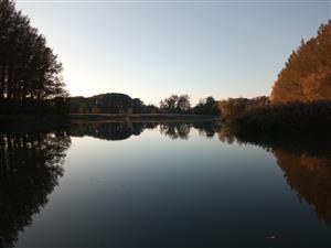 Pohľad na časť TML Dunaj, Bodíky, Bodícke rameno pri línii F. Foto: 18.10.2022, J.Lengyel.