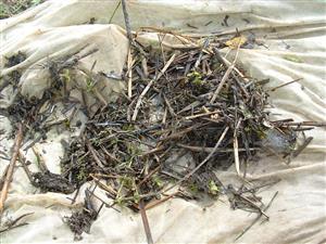 TML, individuálny zber materiálu