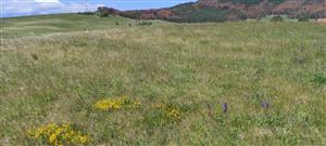 Celkový pohľad na TML